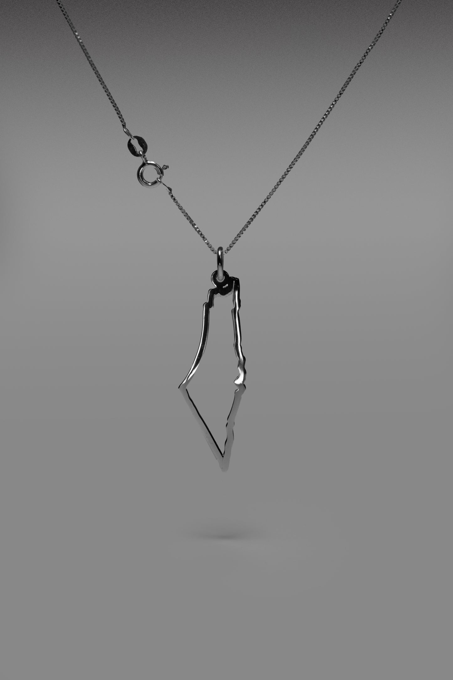 •	simple silver 925 Palestine map frame pendant necklace
	•	minimalist silver necklace Palestine map pendant unisex
	•	Palestinian heritage silver pendant simple map design
	