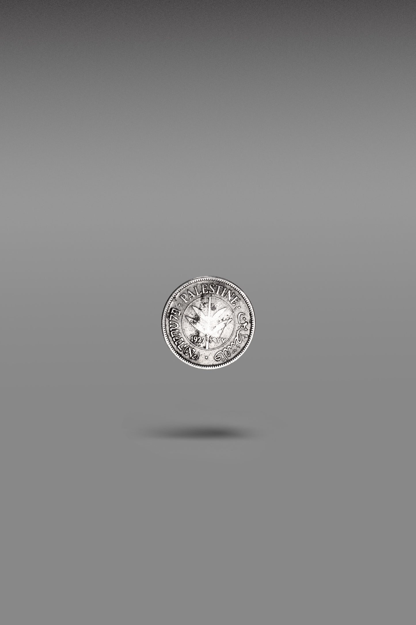 PALESTINIAN COIN 50MIL