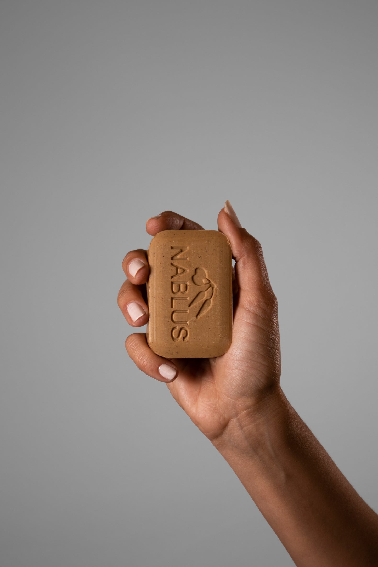 Cinnamon Nablus Soap