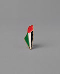 FLAG MAP PIN