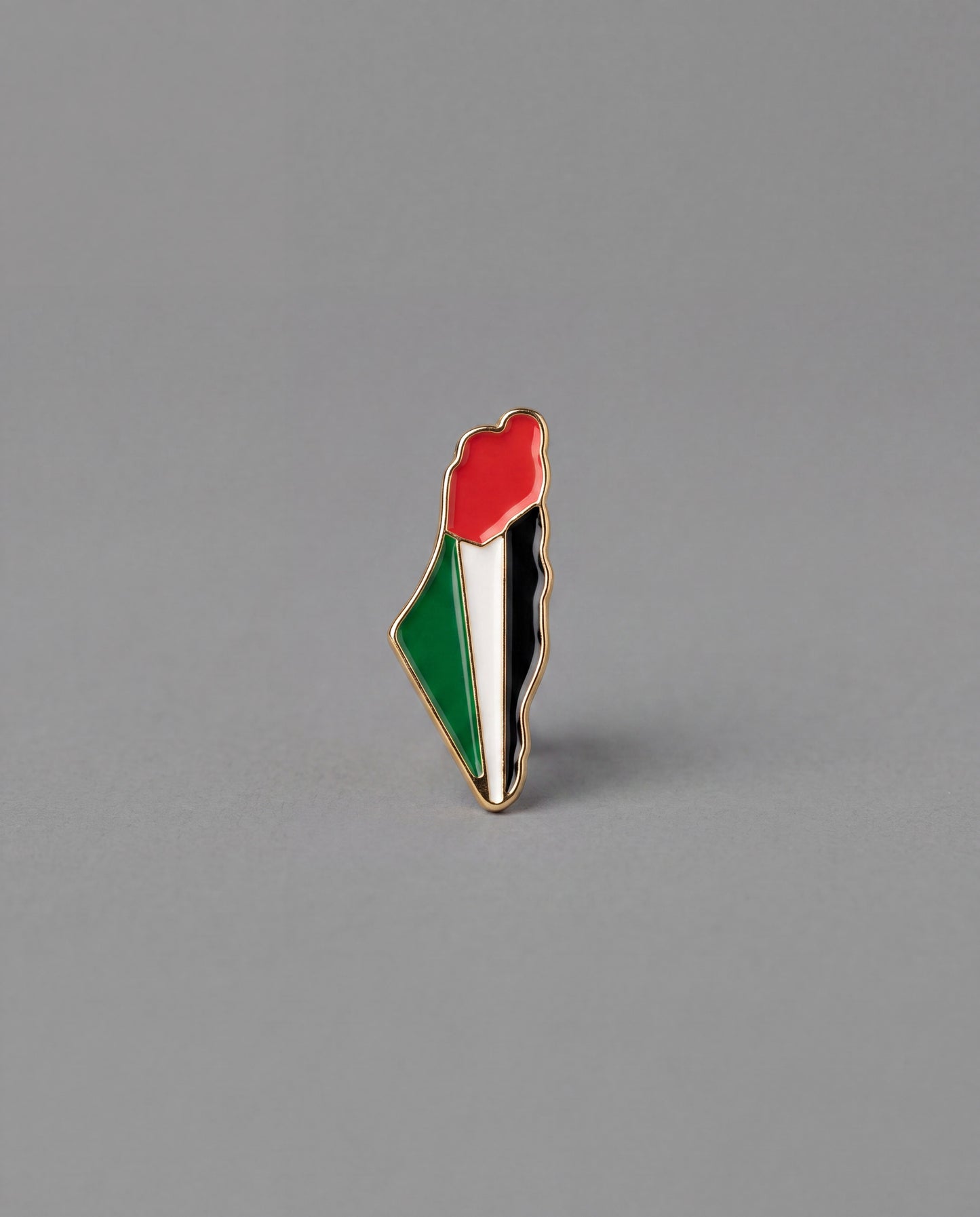 FLAG MAP PIN